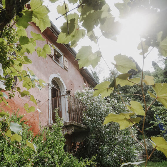 Rotes Landhaus mit einem kleinen Balkon, umgeben von üppiger Vegetation und Weinblättern im Vordergrund, durch die Sonnenlicht scheint.