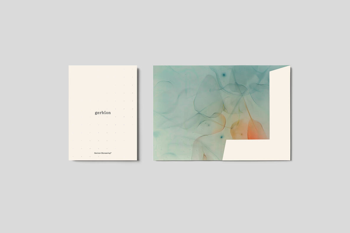 Zwei Elemente der gerbion-Geschäftsausstattung auf hellgrauem Hintergrund: links ein minimalistisches Deckblatt mit gerbion-Logo und feinem Punktraster, rechts eine geöffnete Angebotsmappe mit organischem Farbverlauf in Grün-Orange und einer markanten, weiß abgesetzten Verschlussklappe. Die Gestaltung verbindet Struktur mit Lebendigkeit.
